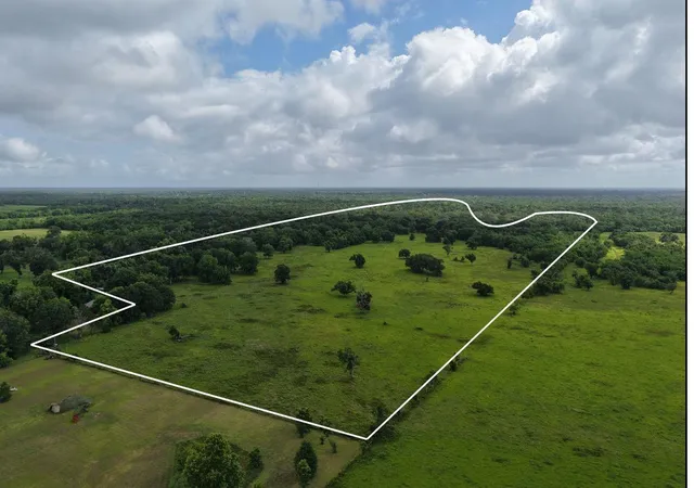1st image of Tbd County Road 164, Cedar Lane, TX 77415 | MLS# 75900533