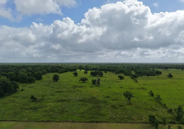 3rd image of Tbd County Road 164, Cedar Lane, TX 77415 | MLS# 75900533