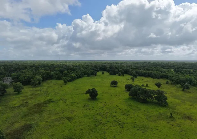 4th image of Tbd County Road 164, Cedar Lane, TX 77415 | MLS# 75900533