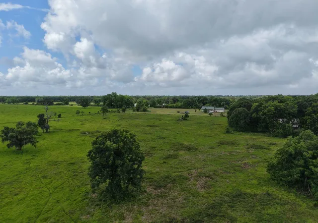 5th image of Tbd County Road 164, Cedar Lane, TX 77415 | MLS# 75900533
