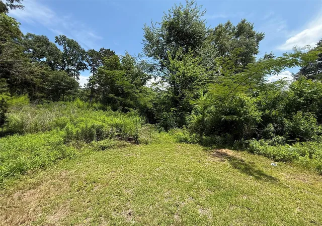 Homes for sale in Jasper, TX | 1912 S Wheeler St, Jasper, TX 75951 | MLS# 86004354