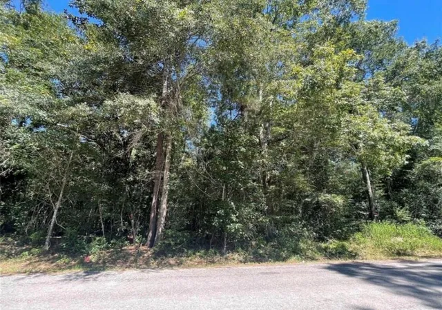 1st image of Tbd County Road 3669c, Splendora, TX 77372 | MLS# 65063350