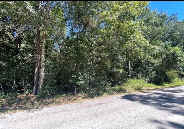 2nd image of Tbd County Road 3669c, Splendora, TX 77372 | MLS# 65063350
