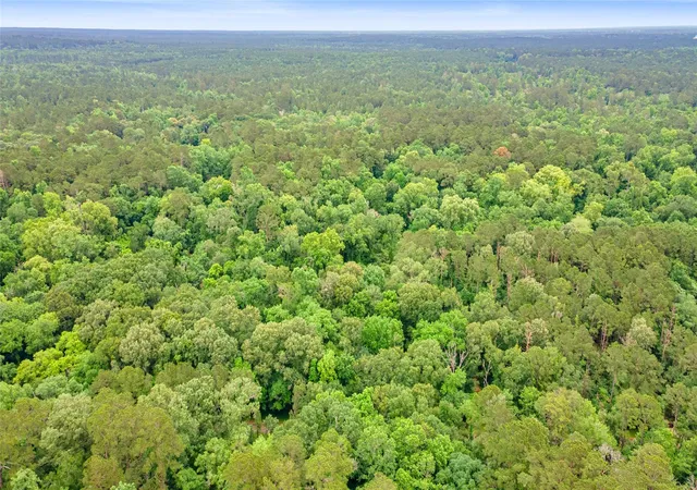 Photo 2 of Land for sale at 12572 Royal Crk Rd, Conroe, TX 77303 | MLS# 14925738 | Listing updated on 2026-05-22