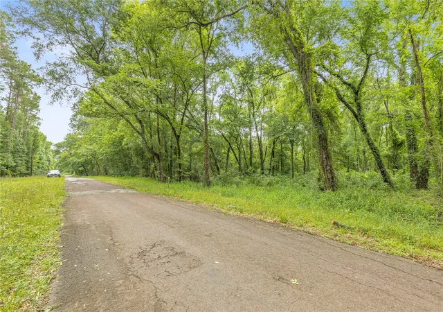 Photo 3 of Land for sale at 12572 Royal Crk Rd, Conroe, TX 77303 | MLS# 14925738 | Listing updated on 2026-05-22