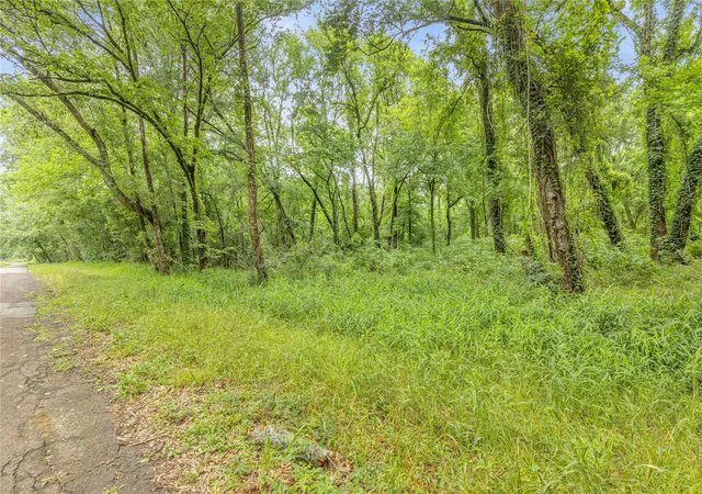 Photo 3 of Land for sale at 12572 Royal Crk Rd, Conroe, TX 77303 | MLS# 14925738 | Listing updated on 2026-05-22