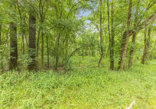 Photo 4 of Land for sale at 12572 Royal Crk Rd, Conroe, TX 77303 | MLS# 14925738 | Listing updated on 2026-05-22