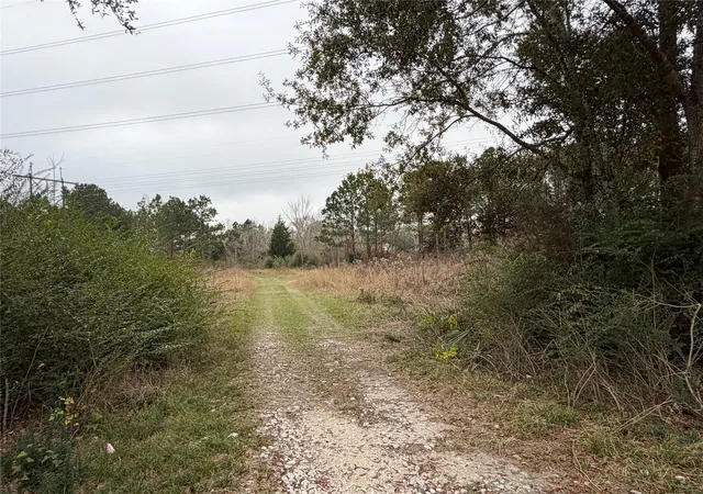 Photo 3 of Land for sale at 8007 Fm 1960, Dayton, TX 77535 | MLS# 19398031 | Listing updated on 2026-06-25