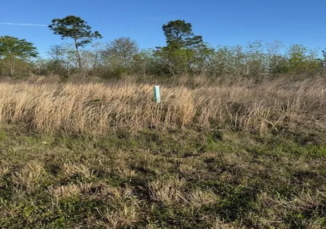Photo 1 of Land for sale at 661 Road 5816, New Caney, TX 77357 | MLS# 92759144 | Listing updated on 2026-03-30