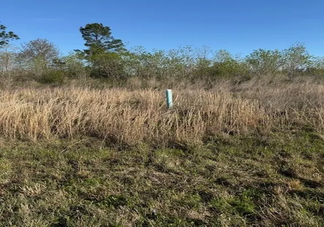 Photo 2 of Land for sale at 661 Road 5816, New Caney, TX 77357 | MLS# 92759144 | Listing updated on 2026-03-30