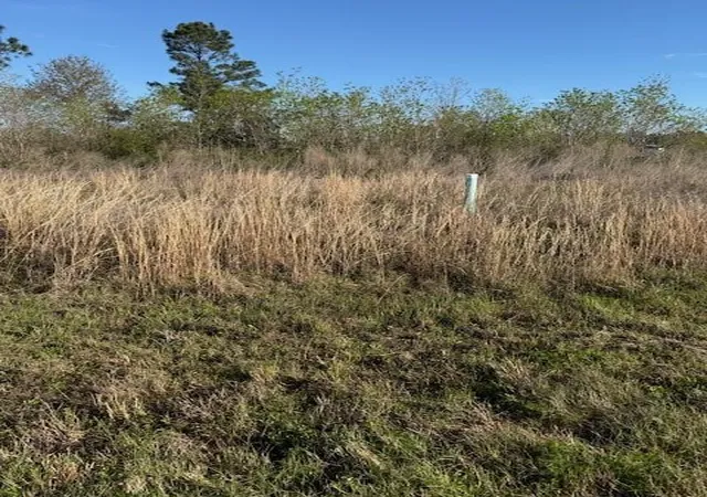 Photo 3 of Land for sale at 661 Road 5816, New Caney, TX 77357 | MLS# 92759144 | Listing updated on 2026-03-30