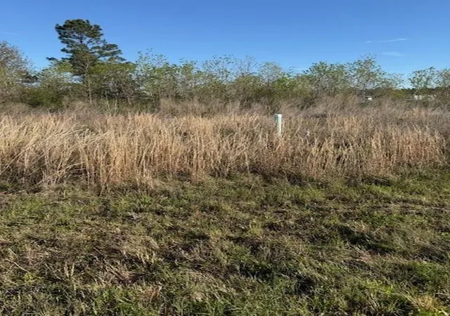 Photo 4 of Land for sale at 661 Road 5816, New Caney, TX 77357 | MLS# 92759144 | Listing updated on 2026-03-30