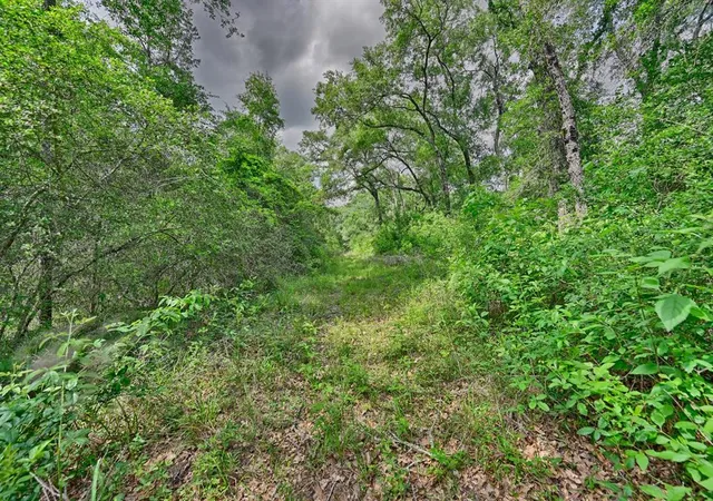 13th image of 17718 Tranquil Ln, Cat Spring, TX 78933 | MLS# 43736641