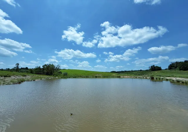 Photo 1 of Land for sale at 143 Ac Cr 236, Oakwood, TX 75855 | MLS# 68612293 | Listing updated on 2026-07-30