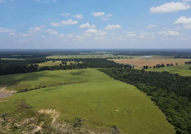 Photo 2 of Land for sale at 143 Ac Cr 236, Oakwood, TX 75855 | MLS# 68612293 | Listing updated on 2026-07-30