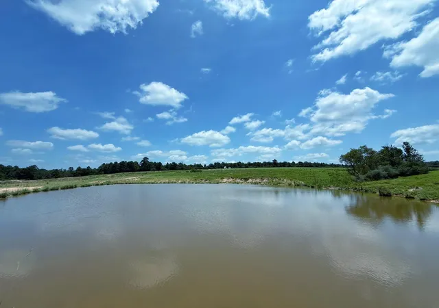 Photo 3 of Land for sale at 143 Ac Cr 236, Oakwood, TX 75855 | MLS# 68612293 | Listing updated on 2026-07-30