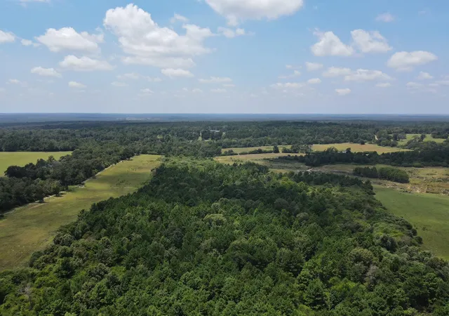 Photo 4 of Land for sale at 143 Ac Cr 236, Oakwood, TX 75855 | MLS# 68612293 | Listing updated on 2026-07-30