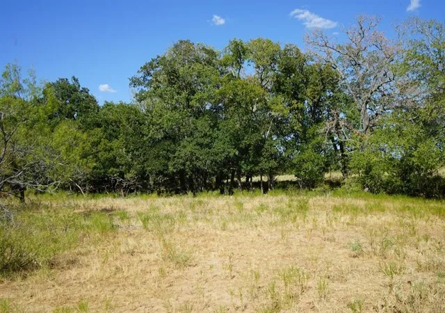 Photo 2 of Land for sale at Tbd 1 Cr 236a, Milano, TX 76556 | MLS# 35131710 | Listing updated on 2026-08-02