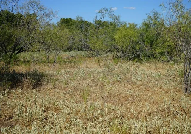 Photo 3 of Land for sale at Tbd 1 Cr 236a, Milano, TX 76556 | MLS# 35131710 | Listing updated on 2026-08-02