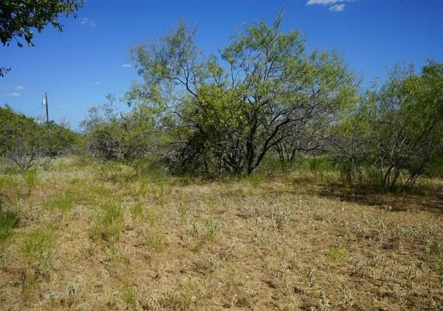 Photo 3 of Land for sale at Tbd 1 Cr 236A, Milano, TX 76556 | MLS# 35131710 | Listing updated on 2026-08-02