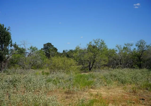 Photo 4 of Land for sale at Tbd 1 Cr 236A, Milano, TX 76556 | MLS# 35131710 | Listing updated on 2026-08-02