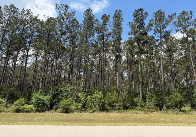 Photo 1 of Land for sale at 15693 Wooded Trl Way, Willis, TX 77378 | MLS# 49126715 | Listing updated on 2026-04-23