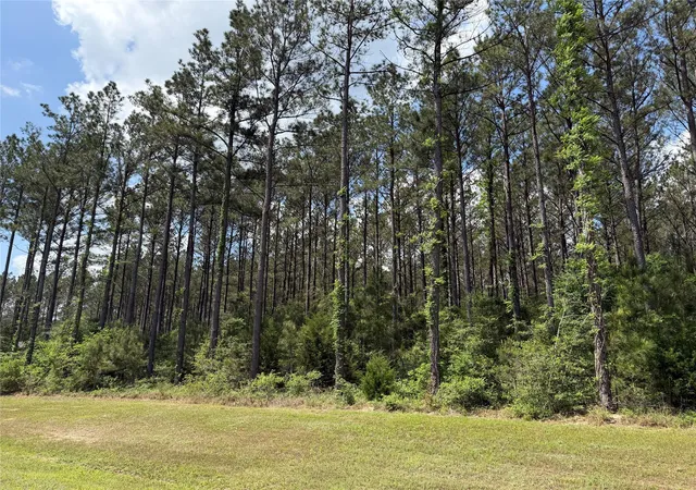 Photo 2 of Land for sale at 15693 Wooded Trl Way, Willis, TX 77378 | MLS# 49126715 | Listing updated on 2026-04-23