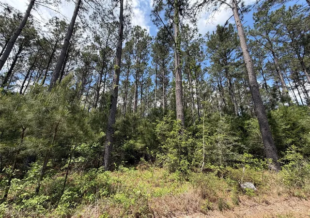 Photo 3 of Land for sale at 15693 Wooded Trl Way, Willis, TX 77378 | MLS# 49126715 | Listing updated on 2026-04-23