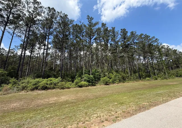 Photo 4 of Land for sale at 15693 Wooded Trl Way, Willis, TX 77378 | MLS# 49126715 | Listing updated on 2026-04-23
