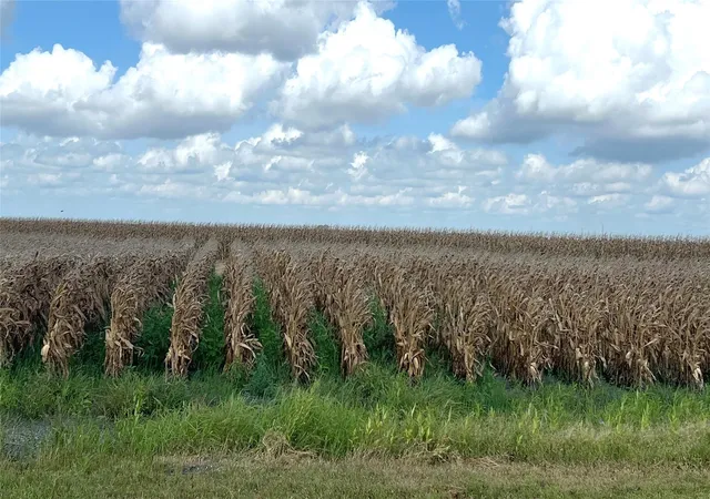Land for sale at 0 Fm 458, Midfield, TX 77458 | MLS# 65983262