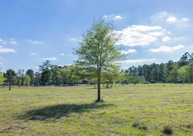 Photo 3 of Land for sale at 5890 Magan Rd, Waller, TX 77484 | MLS# 82706766 | Listing updated on 2026-04-01