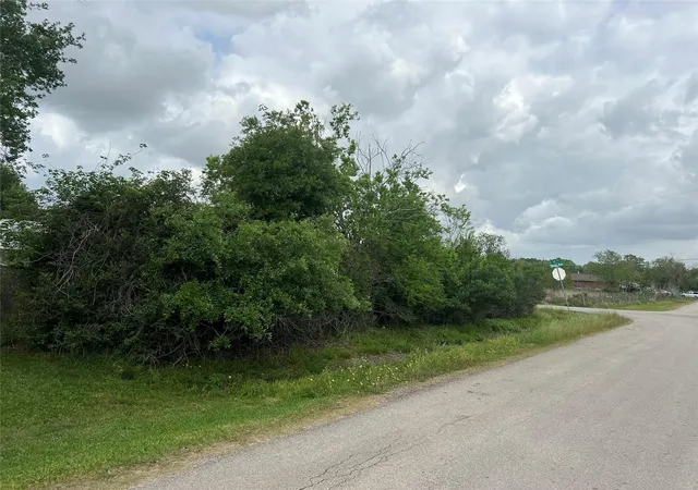 4th image of 5810 Judy St, Rosharon, TX 77583 | MLS# 47080680