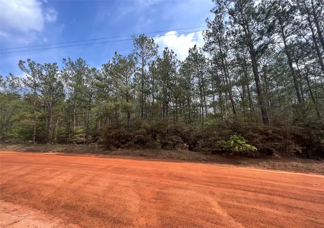 Land for sale at 0 Forest Valley Dr, Cleveland, TX 77328 | MLS# 8541473
