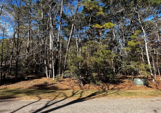 Photo 1 of Land for sale at 10 Wentworth Ln, Coldspring, TX 77331 | MLS# 81272936 | Listing updated on 2026-07-15
