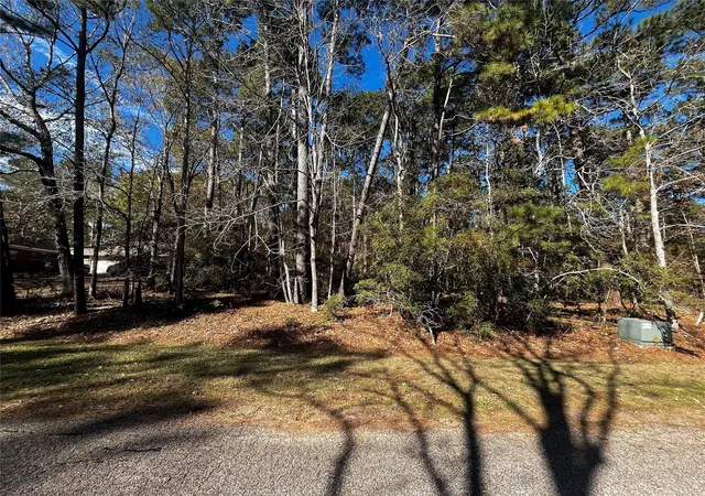 Photo 2 of Land for sale at 10 Wentworth Ln, Coldspring, TX 77331 | MLS# 81272936 | Listing updated on 2026-07-15