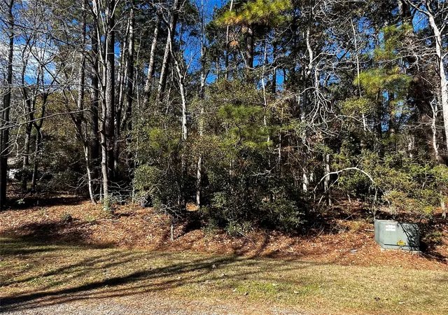 Photo 3 of Land for sale at 10 Wentworth Ln, Coldspring, TX 77331 | MLS# 81272936 | Listing updated on 2026-07-15