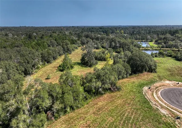 Photo 1 of Land for sale at 299 Bellwood Lake Lane, Bellville, TX 77418 | MLS# 26050224 | Listing updated on 2026-09-03