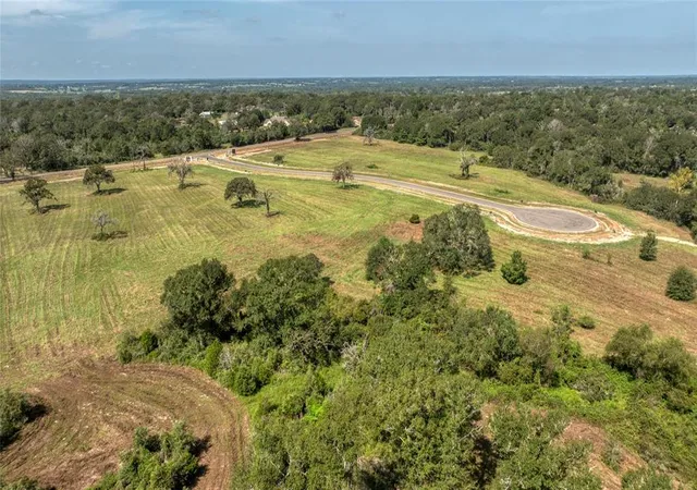 Photo 3 of Land for sale at 299 Bellwood Lake Lane, Bellville, TX 77418 | MLS# 26050224 | Listing updated on 2026-09-03