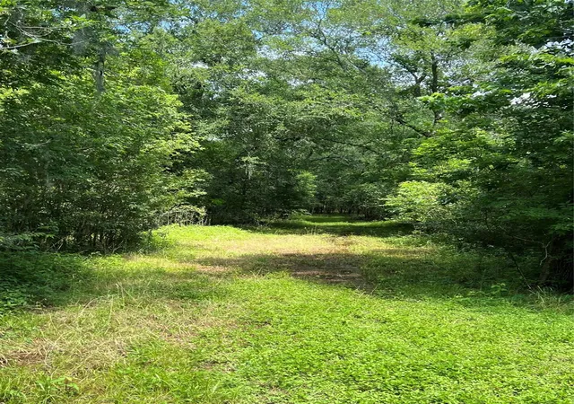 Photo 3 of Land for sale at 15025 Laguna Trl, Needville, TX 77461 | MLS# 22700318 | Listing updated on 2026-06-29