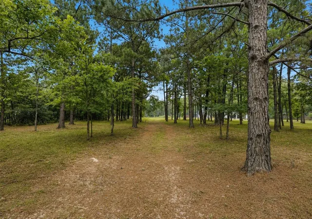 Photo 1 of Land for sale at 2302 Honea Egypt Rd, Magnolia, TX 77354 | MLS# 79350215 | Listing updated on 2026-05-01