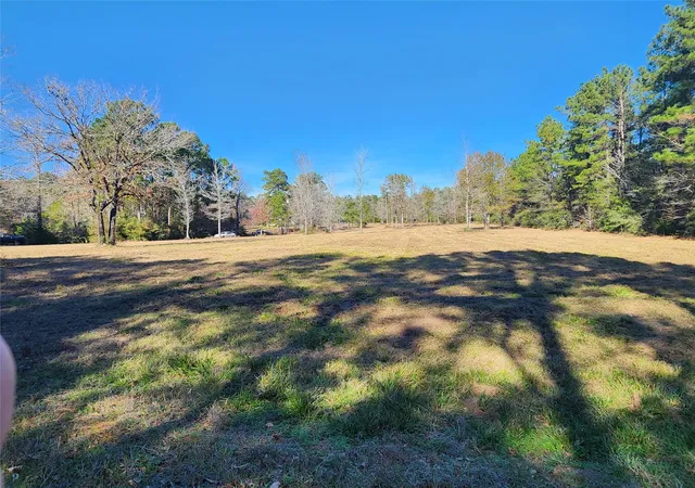 10th image of 0 Bailey Grove Rd, Montgomery, TX 77356 | MLS# 48635642