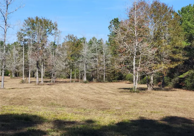 1st image of 0 Bailey Grove Rd, Montgomery, TX 77356 | MLS# 48635642