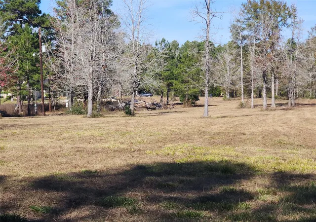 2nd image of 0 Bailey Grove Rd, Montgomery, TX 77356 | MLS# 48635642