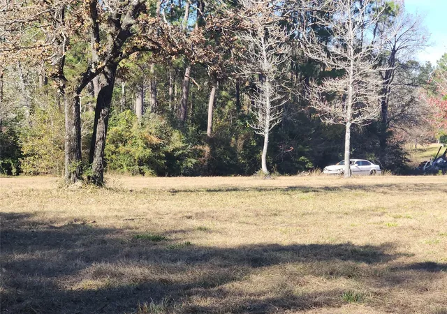 Photo 3 of Land for sale at 0 Bailey Grv Rd, Montgomery, TX 77356 | MLS# 48635642 | Listing updated on 2026-07-03
