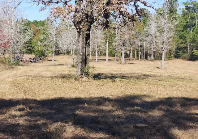 Photo 3 of Land for sale at 0 Bailey Grv Rd, Montgomery, TX 77356 | MLS# 48635642 | Listing updated on 2026-07-03