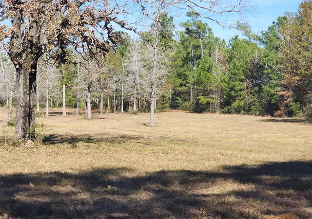 Photo 4 of Land for sale at 0 Bailey Grv Rd, Montgomery, TX 77356 | MLS# 48635642 | Listing updated on 2026-07-03