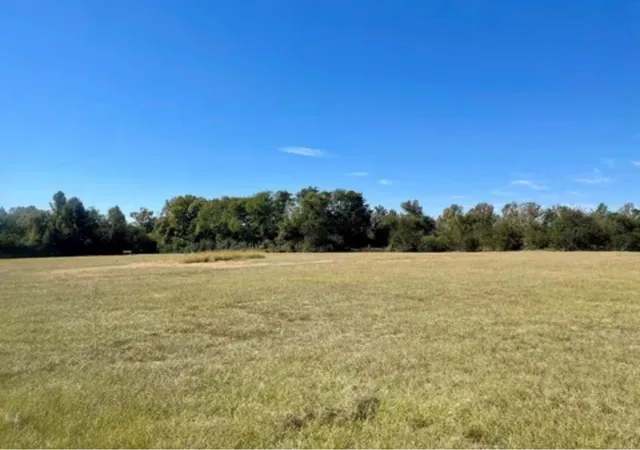 4th image of 12641 Fm 241 S, Alto, TX 75925 | MLS# 20005318