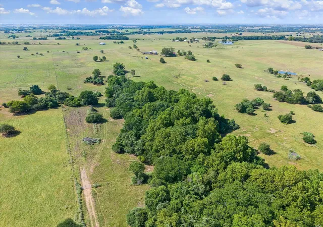 Photo 2 of Land for sale at 000 Ripple Ln, New Ulm, TX 78950 | MLS# 48403492 | Listing updated on 2026-08-24