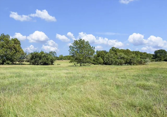 Photo 4 of Land for sale at 000 Ripple Ln, New Ulm, TX 78950 | MLS# 48403492 | Listing updated on 2026-08-24
