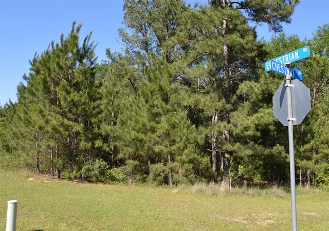 Photo 2 of Land for sale at 17905 Chestnut Dr, Waller, TX 77484 | MLS# 33201861 | Listing updated on 2026-07-22